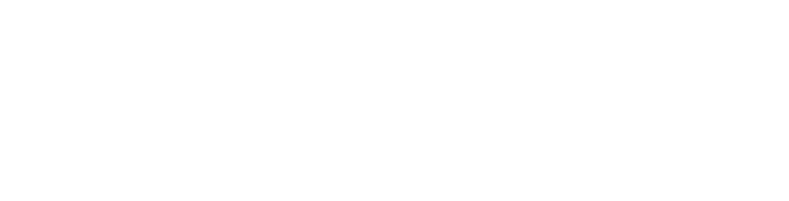 JAXON.AI